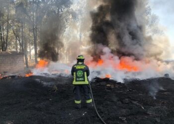 Cuerpo de Bomberos ha atendido mil 223 incendios de pastizales