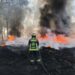 Cuerpo de Bomberos ha atendido mil 223 incendios de pastizales