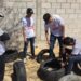 Fundación Majocca celebrará Día de las Buenas Acciones con limpieza masiva
