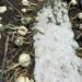 Cuantifican daños por granizadas en Felipe Ángeles y Quecholac