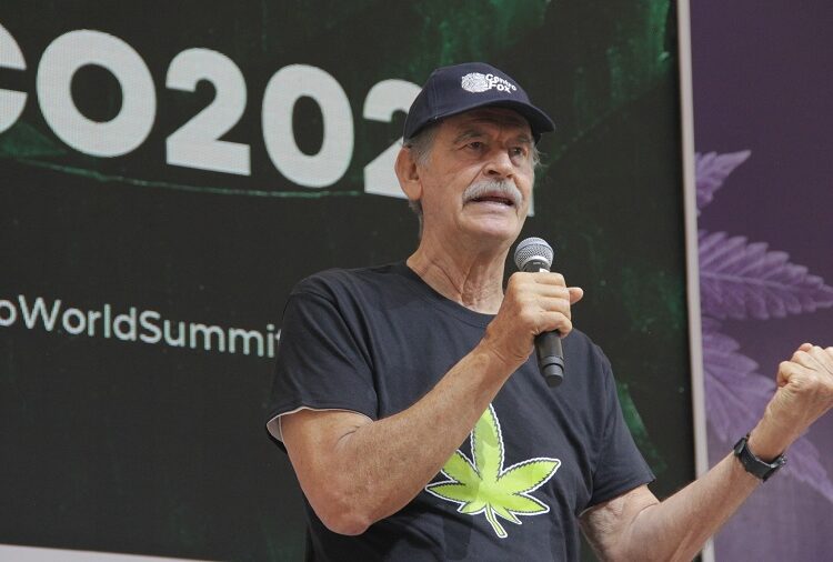AMLO indaga permisos de cannabis de Fox