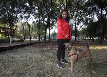 Dueños de mascotas, responsables de lesiones que éstas causen