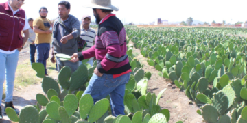 Dignificar a trabajadores del campo
