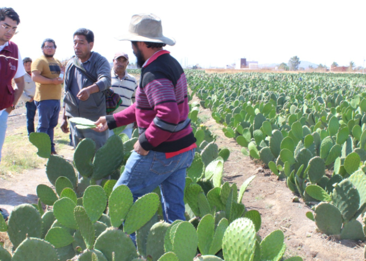 Dignificar a trabajadores del campo