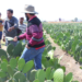 Dignificar a trabajadores del campo
