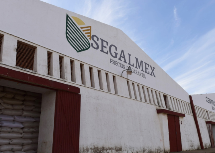 De la estafa maestra al fraude en Segalmex