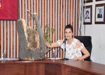 Implementan acciones para detener plaga en árboles de Texmelucan