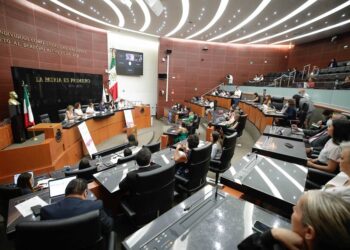 Senadores de Morena podrían ser destituidos si no nombran a comisionado del INAI