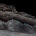 Crean gemelo digital del Titanic
