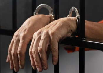 Vinculan a proceso a hombre por delitos contra animales