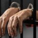 Vinculan a proceso a hombre por delitos contra animales