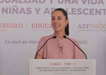 Si va Sheinbaum, arrastraría postulaciones femeninas en Morena