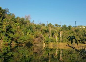 Cantera Tanque Prieto promueve la conservación de biodiversidad en Nuevo León