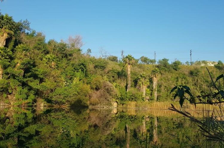 Cantera Tanque Prieto promueve la conservación de biodiversidad en Nuevo León