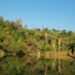 Cantera Tanque Prieto promueve la conservación de biodiversidad en Nuevo León