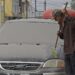 Explosión del Popocatépetl cubre de ceniza varios municipios