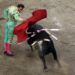 PVEM celebra suspensión de corridas de toros