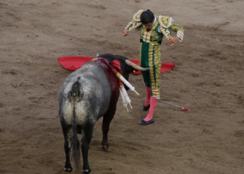 “Respetamos la ley”, sentenció el gobernador Céspedes sobre suspensión de corridas de toros