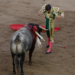 “Respetamos la ley”, sentenció el gobernador Céspedes sobre suspensión de corridas de toros