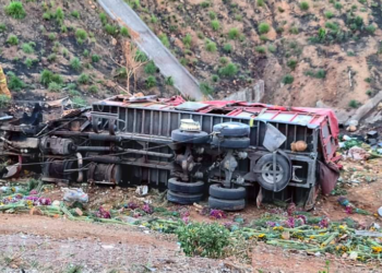 Mueren en Nayarit 8 floricultores de Quecholac y Acatzingo