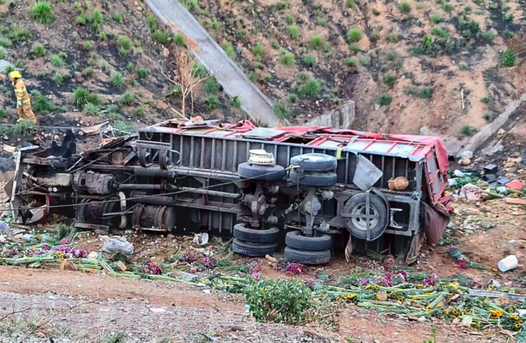 Mueren en Nayarit 8 floricultores de Quecholac y Acatzingo