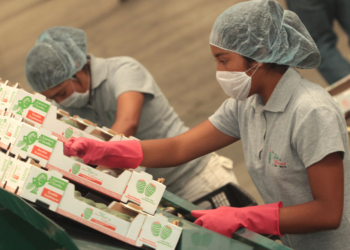 Comce apoyará a empresas para cerrar negocios y exportar productos en nueva oficina en EU