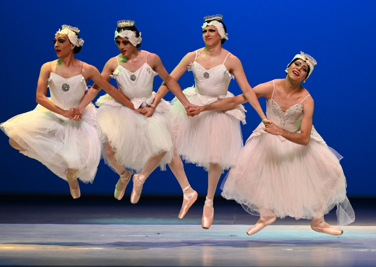 Los hombres también bailan en zapatillas… de ballet