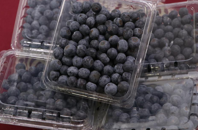 Puebla, potencia nacional en producción de blueberry orgánico con calidad de exportación