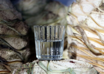 Comce región Sur apoyará a mujeres productoras de mezcal en Puebla