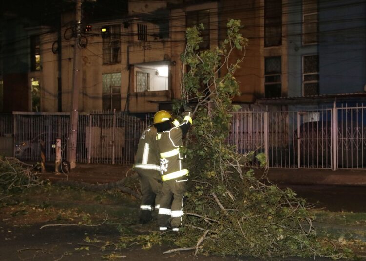Exhortan a reportar estructuras o árboles en riesgo de caer