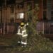 Exhortan a reportar estructuras o árboles en riesgo de caer