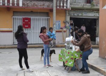 Protección animal municipal rescata a 3 perros por exposición a ceniza volcánica