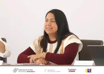 Puebla exportará 480 toneladas de arándano orgánico a Canadá