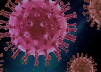 Decreta OMS fin de la pandemia por COVID