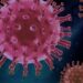 Decreta OMS fin de la pandemia por COVID