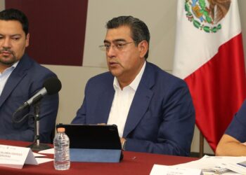 Maltrato animal no quedará impune: Céspedes Peregrina