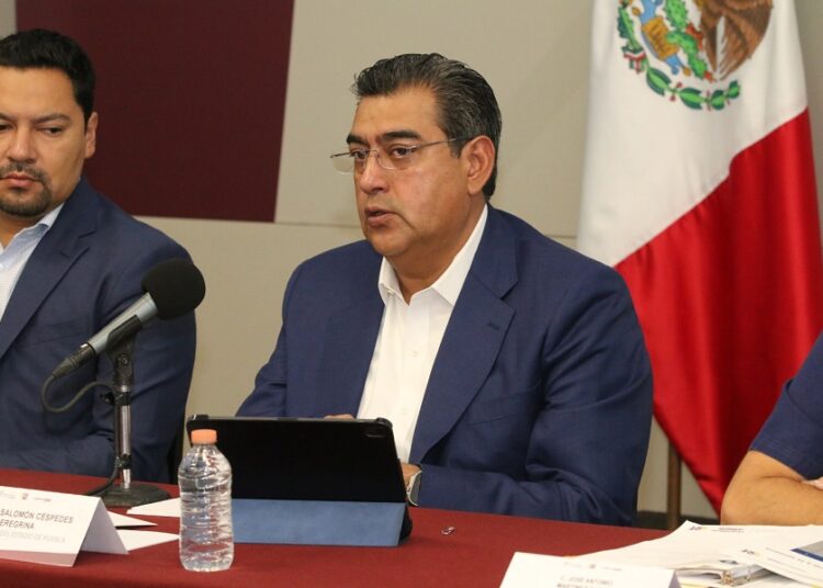 Maltrato animal no quedará impune: Céspedes Peregrina