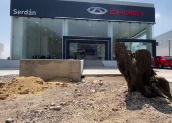 Ayuntamiento de Puebla indagará tala de árboles de agencia Chirey