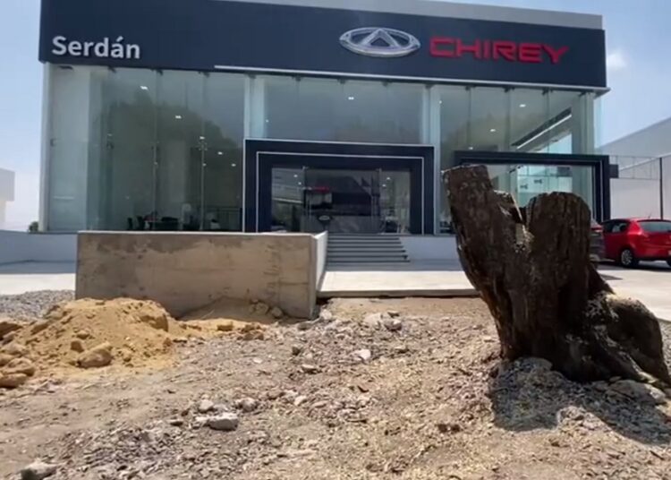 Ayuntamiento de Puebla indagará tala de árboles de agencia Chirey