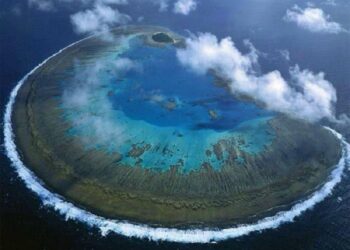 Australia implementará medidas urgentes para proteger la Gran Barrera de coral
