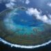 Australia implementará medidas urgentes para proteger la Gran Barrera de coral