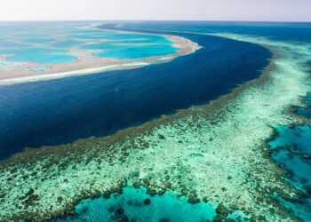 Australia implementará medidas urgentes para proteger la Gran Barrera de coral