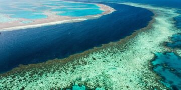 Australia implementará medidas urgentes para proteger la Gran Barrera de coral
