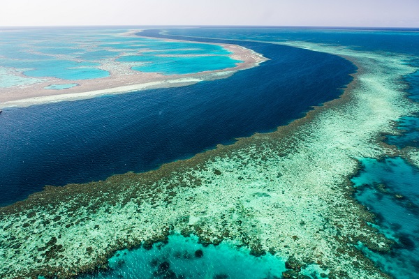 Australia implementará medidas urgentes para proteger la Gran Barrera de coral