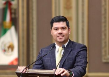 PVEM, listo para competir solo en 2024