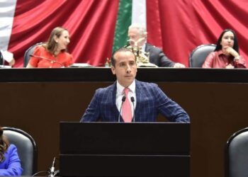 Proponen que maltrato animal se castigue con hasta 10 años de cárcel