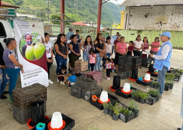 Bienestar continúa instalando Módulos de Autosuficiencia Alimentaria