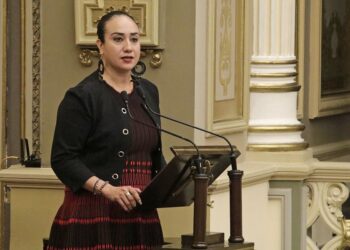PAN propone actualizar definición de violencia económica