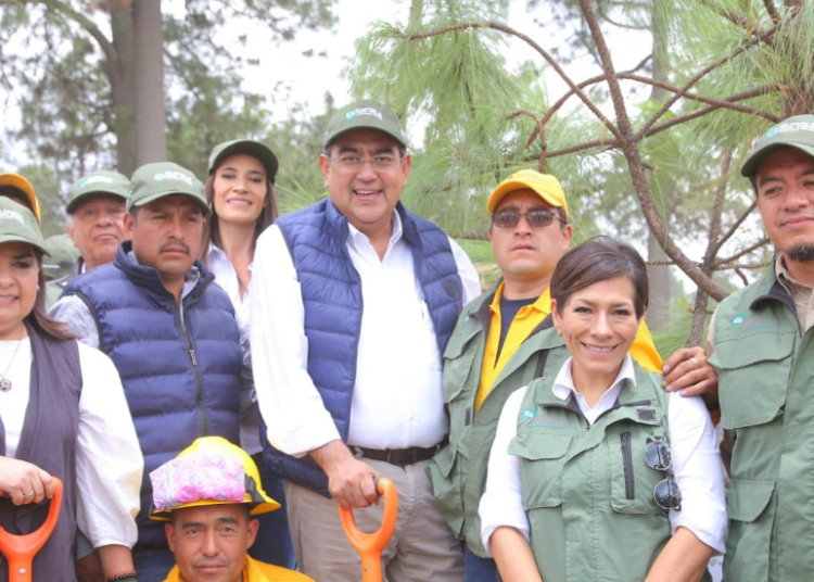 Desde Tlachichuca, Céspedes inicia mega reforestación de 9 millones de árboles