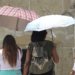 Tercera onda de calor en México: temperaturas alcanzarán más de 40 grados